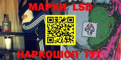 прущие грибы Апшеронск