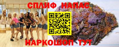 прущие грибы Апшеронск