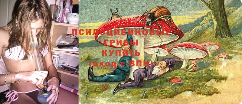 это официальный сайт  Вичуга  Галлюциногенные грибы Psilocybine cubensis 