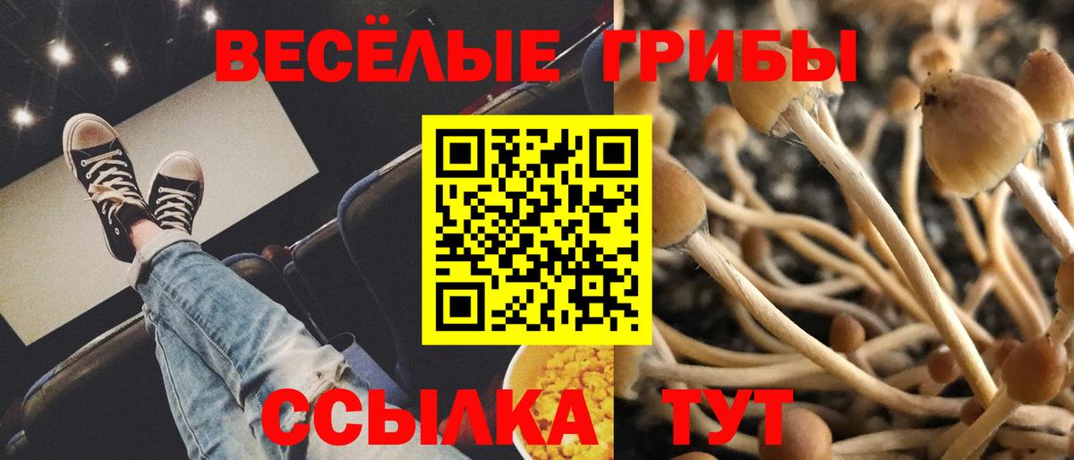 Псилоцибиновые грибы Magic Shrooms  Псилоцибиновые грибы MAGIC MUSHROOMS  Вход с VPN  Вичуга 