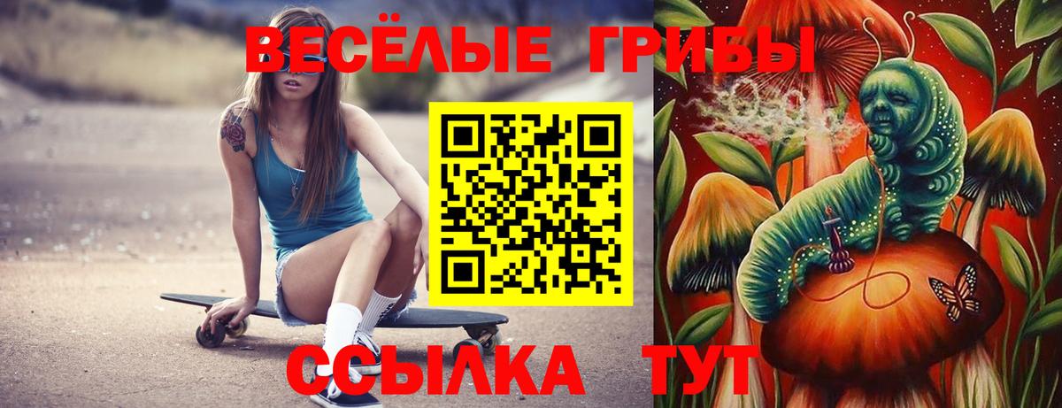Псилоцибиновые грибы Psilocybe Вичуга