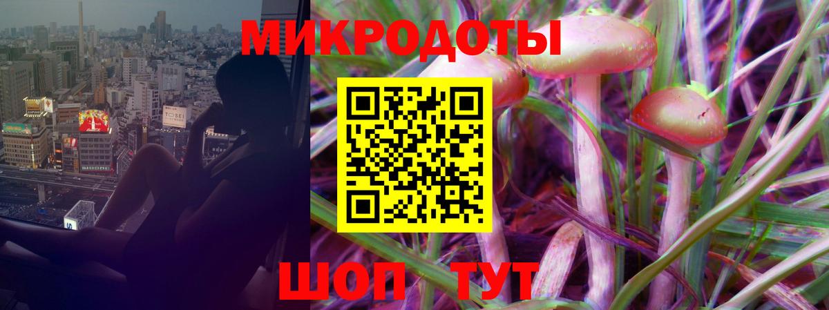 Псилоцибиновые грибы Cubensis  Вичуга  Псилоцибиновые грибы Psilocybine cubensis 